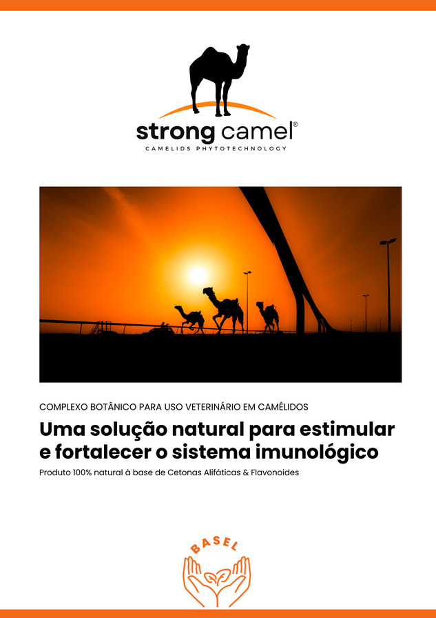 Defesa Ativa
