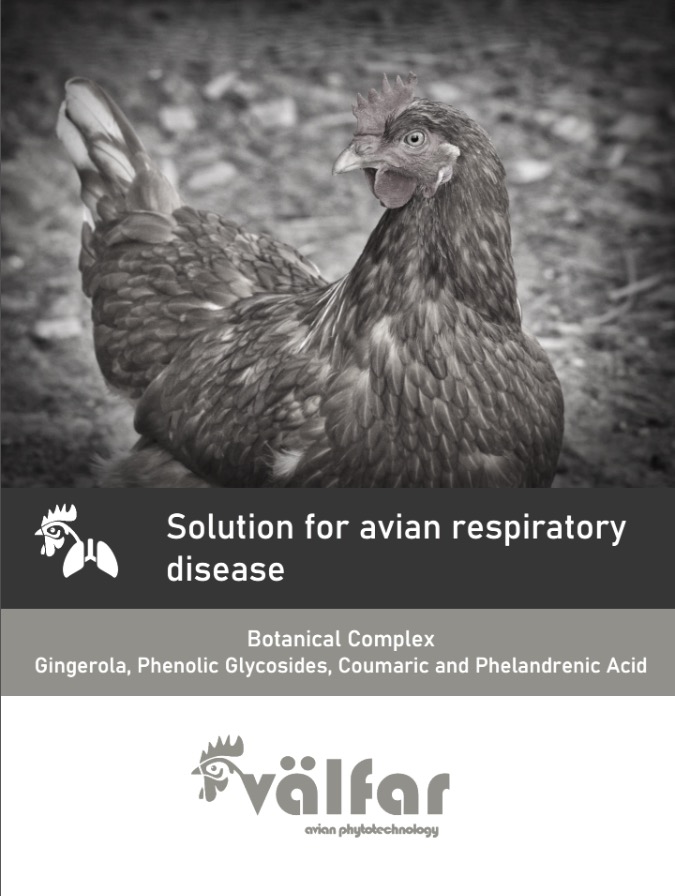 Respiratory