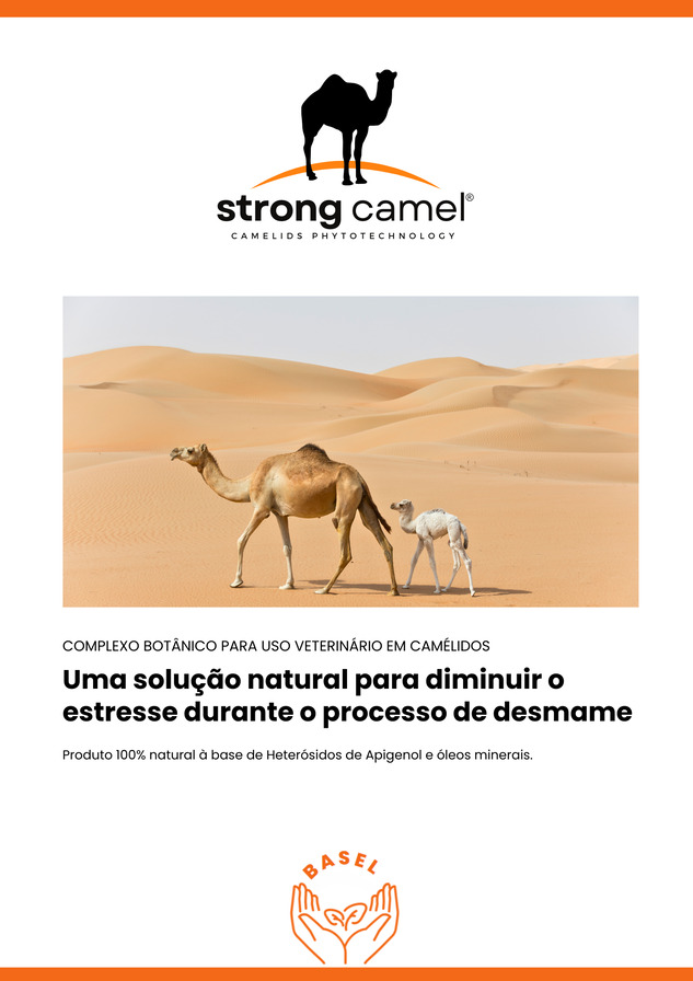 Anti-Estresse