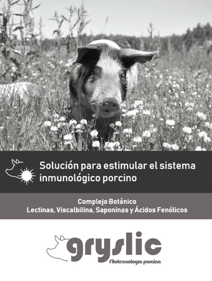 Defensa Activa