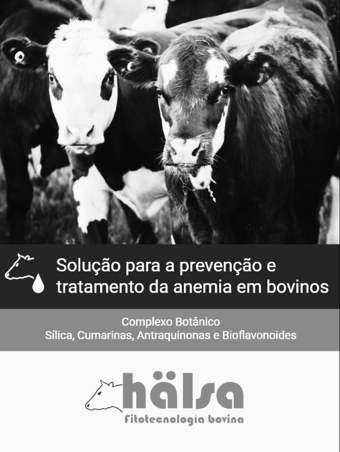Antianêmico
