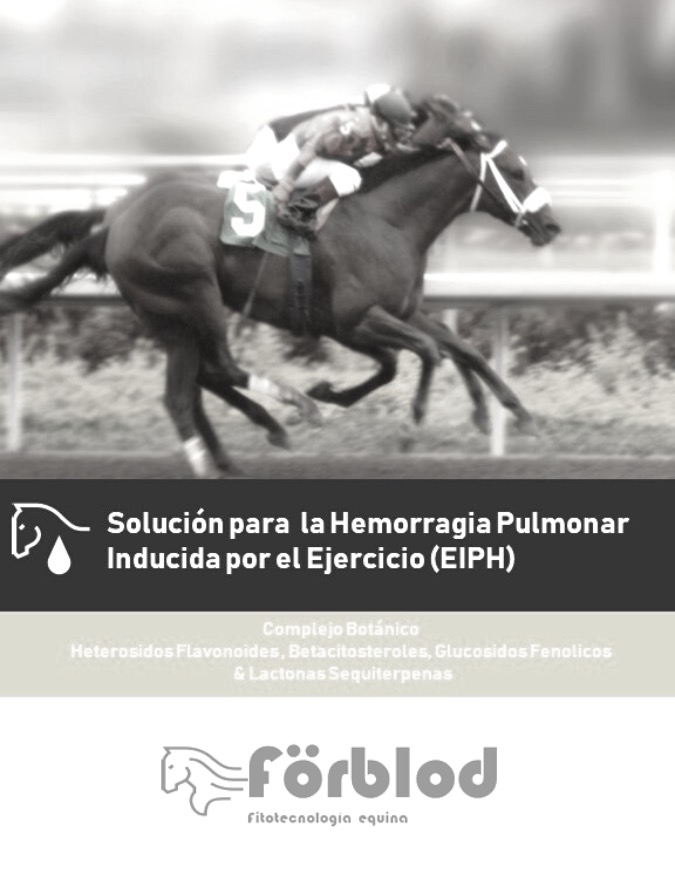 Antisangrado