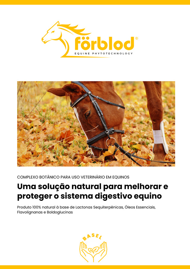 Digestivo