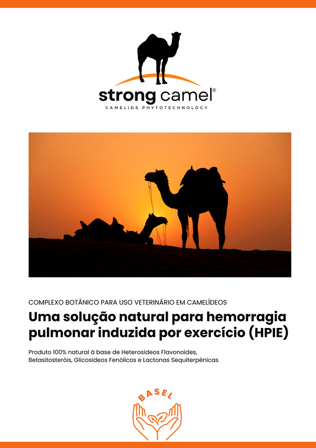 Anti-Hemorragia
