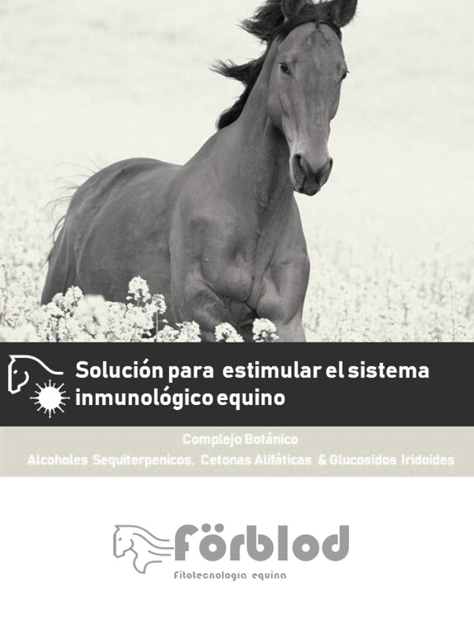 Defensa Activa