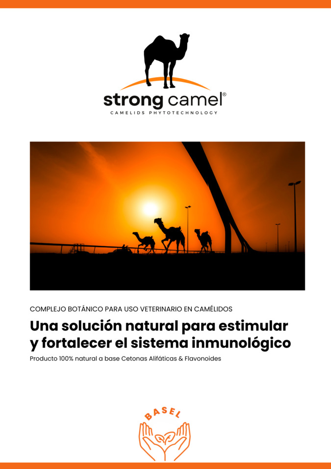 Defensa Activa