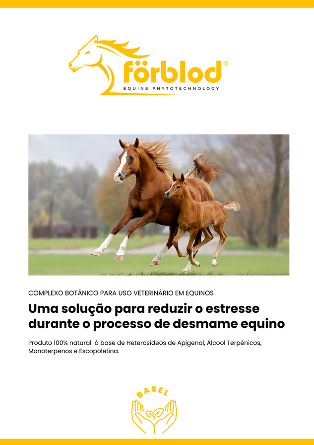 Anti-Estresse