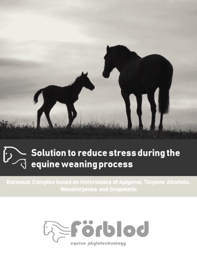 Anti-stress