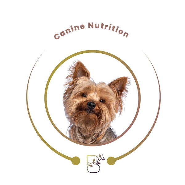 Canine Nutrition