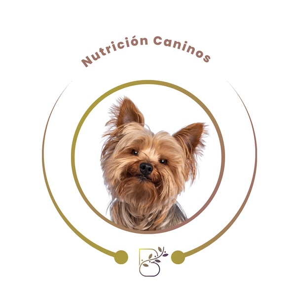 Nutrición Canina