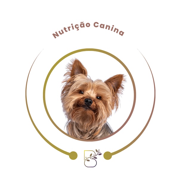 Nutrição Canina